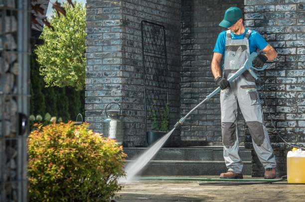 Best Graffiti Removal  in South Chicago Heights, IL