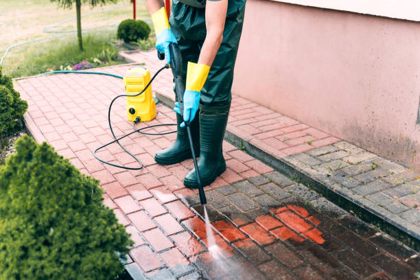 Professional Pressure Washing Services in South Chicago Heights, IL