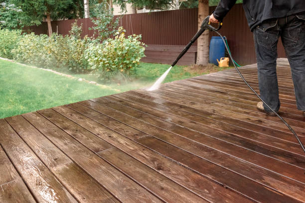 Best Spring Cleaning  in South Chicago Heights, IL